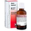 DR.RECKEWEG & CO. GmbH reckeweg r27 gocce 22ml