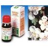 SPECCHIASOL Srl biancospino 10 50ml tm
