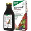 SALUS HAUS Gmbh & Co KG floravital 250 ml