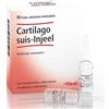 GUNA SpA cartilago suis injeel heel 10 fiale da 1,1ml