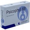 BIOGROUP SpA SOCIETA BENEFIT psicophyt remedy 6b 4 tubi 1,2 g