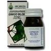 ARCANGEA Srl ginkgo biloba 60 capsule 500 mg