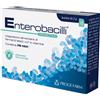 PROGE FARM Srl enterobacilli 10 bustine x 2g