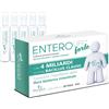 PALADIN PHARMA SpA enterolife forte 4 miliardi 20 fiale da 5 ml