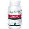 ERBA VITA GROUP SpA boswellia serrata 60 capsule 400 mg