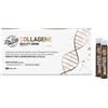 MARCO VITI FARMACEUTICI SpA collagene beauty drink 10 fiale da 25ml