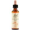 SCHWABE PHARMA ITALIA Srl rock rose bach orig 20 ml