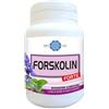 BODYLINE Srl forskolin forte 60 capsule