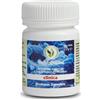 AMRITA ITALIA Srl probion clinica 50 compresse