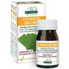 VIS GIORGINI SER-VIS ginkgo biloba estratto titolato 60 pastiglie
