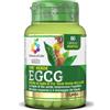 OPTIMA NATURALS Srl colours of life the verde egcg 60 capsule vegetali