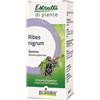 BOIRON Srl ribes nigrum boiron macerato glicerico 60 ml