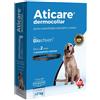 ATI Srl (AZIENDA TERAP.ITAL.) aticare dermocollar cani con peso superiore a 7 kg