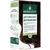 ANTICA ERBORISTERIA SpA herbatint 4d castano dorato 170 ml