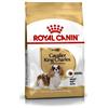 ROYAL CANIN CANE ADULTO CAVALIER KING 1,5 KG