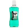 Zidac Laboratories Absolute Ice Freshmint Mouthwash 500 ml