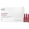 KORFF Srl COLLAGEN REGIMEN FIALE TONIFICANTI 28 GIORNI