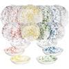 Tognana Apulia, Servizio piatti 18 pezzi per 6 persone, porcellana, multicolor
