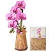 rowood Fiori artificiali viola Phalaenopsis, puzzle 3D fai da te in legno, kit modello da assemblare, set artigianale per adulti, bambini, decorazione per la casa e kit regalo di San Valentino