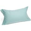 Caleffi 79419 Flanella Tinta Unita Coppia Federe per Standard Letto, Acqua