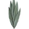 DRW Set di 6 Rami di Foglie Artificiali in Schiuma Eva e Carta Verde 80 cm, Medidas: 80cm