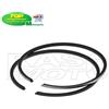 Motorparts DR SG15284 Serie Segmenti Fasce Pistone 47 AC 2x1,5 CSTR