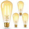 DiCUNO Lampadina LED E27 ST58 2.5W, Efficienza energetica classe B, Lampadina a filamento equivalente 40W alogena, Bianco caldo 2700K, 480lm, LED E27 Edison vintage, Non dimmerabile, 4 Pezzi