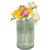 Point-Virgule Vaso, decorazione per il soggiorno, vasi da fiori in vetro, meravigliosamente verde, 10,5x17,5 cm