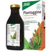SALUS HAUS GMBH & CO KG Piantaggine 250 Ml