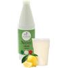 ALMAR GUSTO ITALIANO Almar - Sciroppo Superconcentrato per Granita, Gusto Limone, Da Usare Con Base Granita Naxos, Pronto in Pochi Secondi, Ideale per Bar, Chioschi e Uso Domestico, Senza Conservanti, Bottiglia da 1kg