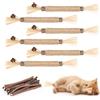 OSDUE Bastoncini Cura Denti per Gatti, 21Pz Dental Stick, Giocattolo di Erba Gatta Matatabi Stick Contro Alito Cattivo per Dental Care Pratica Bastoncini da Masticare Naturale, con 6 Frutta Erba Gatta