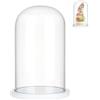 NBEADS Cupola di la Cloche con Display in Vetro, con Cupola in Vetro Trasparente Base in Legno Bianco per Decorazioni Centrotavola da Tavolo per Casa, Ufficio e Oggetti da Collezione, 15x25.5cm