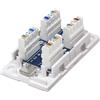 Intellinet Box per connessioni di rete Cat5e UTP