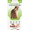 D.FENSTEC Srl fit therapy cerotto spalla 10 pezzi