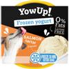 YowUp Frozen Yogurt Gelato per Cani Tartare di Salmone 110g