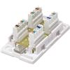 Intellinet Box per Connessioni di Rete Cat6 UTP