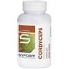 SYFORM Srl Cordyceps Integratore Alimentare 100 Capsule - Integratore di Cordyceps per il Benessere Generale