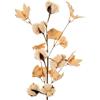 DRW Set di 6 Rami di Fiori Artificiali in Schiuma Eva, Cotone e Carta Beige, 65 cm, Medidas: 65cm