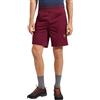 LA SPORTIVA Roots Shorts M Uomo