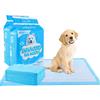 Edipets, Tappetini Igienici per Cani 60x90, Assorbenti, Tappetini Monouso per l'Addestramento dei Cuccioli (40 unità)