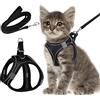 RHBTH Guinzaglio per Gatti Allungabile，Pettorina Gatto Antifuga，Pettorina per Gatti Gattino，Pettorina Gatto con,per Gattini (XS)