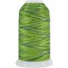Superior Threads 121029 x X988 Oasis 3-ply 40 W King Tut Cotone trapuntatura Thread, 1.828,8 m