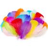 AOOTE Piume Decorative, 100 PCS Piume Colorate Piume per Artigianato, Piume Colorate, Naturali Piuma per Artigianato Fai da Te, Adatto DIY Crafts Decorazione Pasqua Natale Decorazione Personaggi