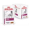 Royal Canin Veterinary Diet Renal Bustine Multipack 12x100 gr - 1 multipack Renal - 1° ORDINE? scegli lo sconto BZR5 / BZR20 + 200 punti fedeltà