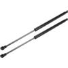 QUARKZMAN Supporti Molla Gas Per Portellone Posteriore Per BMW 1er F20-F21 | Materiale Acciaio Al Carbonio Colore Nero Posizionamento Portellone Posteriore OE 51247239871 Impermeabile Antipolvere