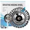 SWAWIS Spazzola per Decespugliatore 200 x 25,4mm Spazzola per Erbacce Spazzola Rotante per Decespugliatore con 4 Accessori, Filo Acciaio Tosaerba Testina Spazzola, 8 Pollici