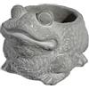 GROWSCAPE Classic Home and Garden, Cement Buddies, fioriera a forma di rana, graziosa decorazione da scrivania, con rivestimento anti-UV, tappo di scarico rimovibile, da esterni e interni, naturale, piccola