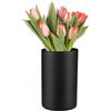 TREND FOR HOME Vaso in vetro rotondo, alto, 21,5 cm, colorato, grande, cilindro, per erba della pampa, nero, grande decorazione per matrimonio, 2800 ml, Ø 13,5 cm, nero opaco