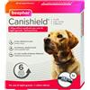 BEAPHAR B.V. CANISHIELD 1 COLLARE 65 CM