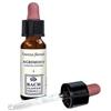 ERBA VITA ESSENZA FLOREALE Agrimony Original Gocce 10 Ml